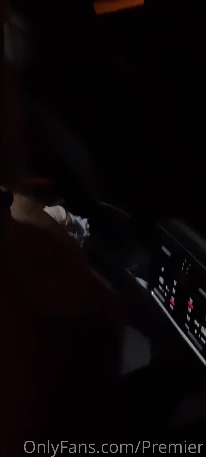 Daniella Chavez fucking in the car